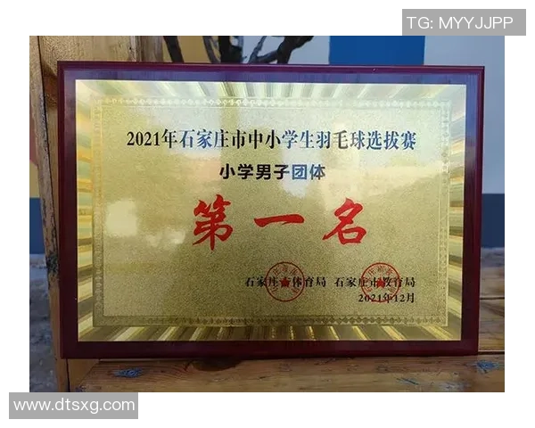 重庆羽毛球队领跑最新羽毛球速度TOP10榜单引发热议