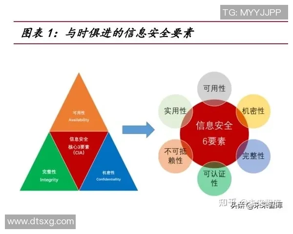 成都排球队技术分析与战术创新的深度探讨与展望