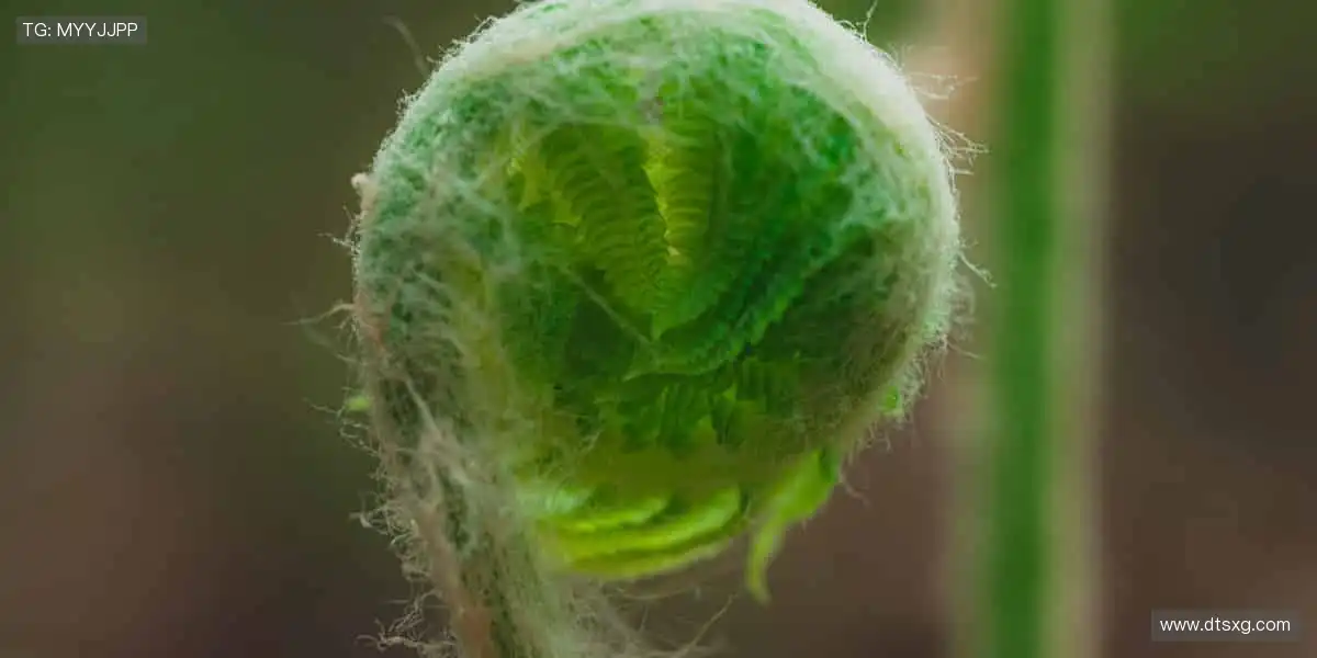 🏆官方正品,解锁你的运动潮流!🎁